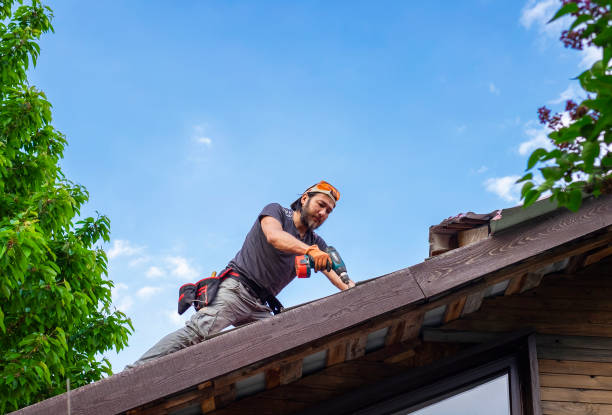 Best Gutter Installation and Repair  in Grant, AL
