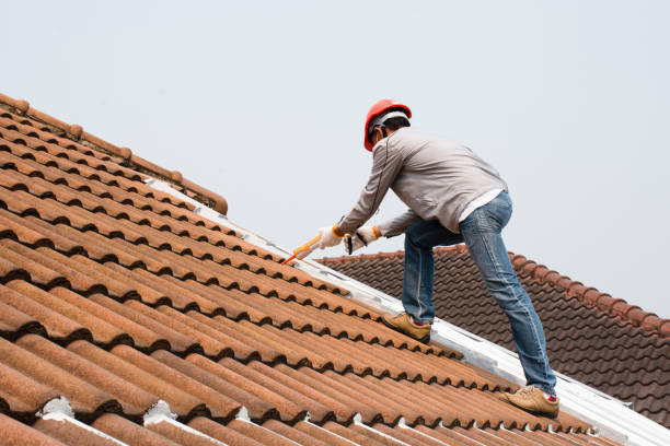 Best Roof Insulation Installation  in Grant, AL