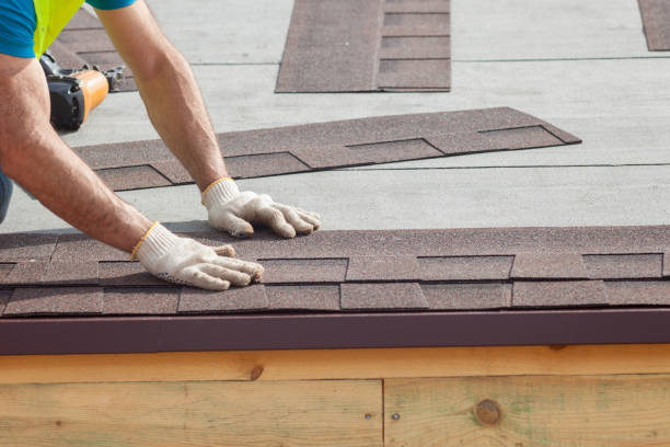 Best Solar Panel Roofing Installation  in Grant, AL
